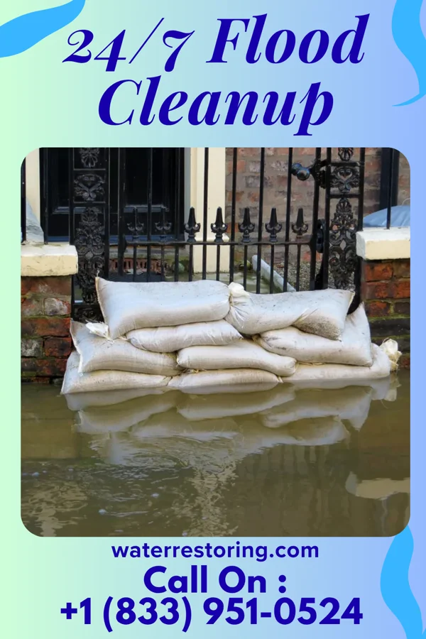 24/7 Flood Cleanup in Langley, WA