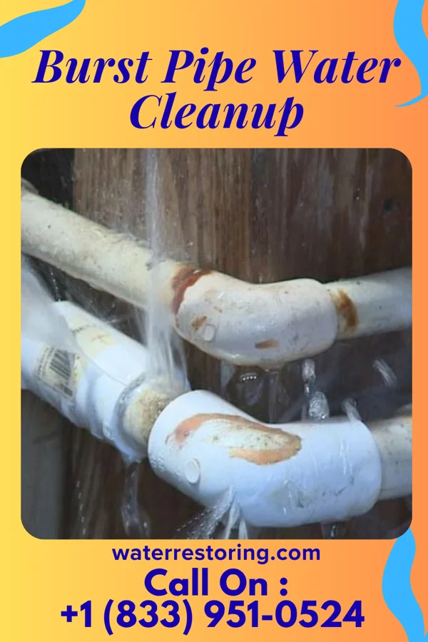 Burst Pipe Water Cleanup in Langley, WA