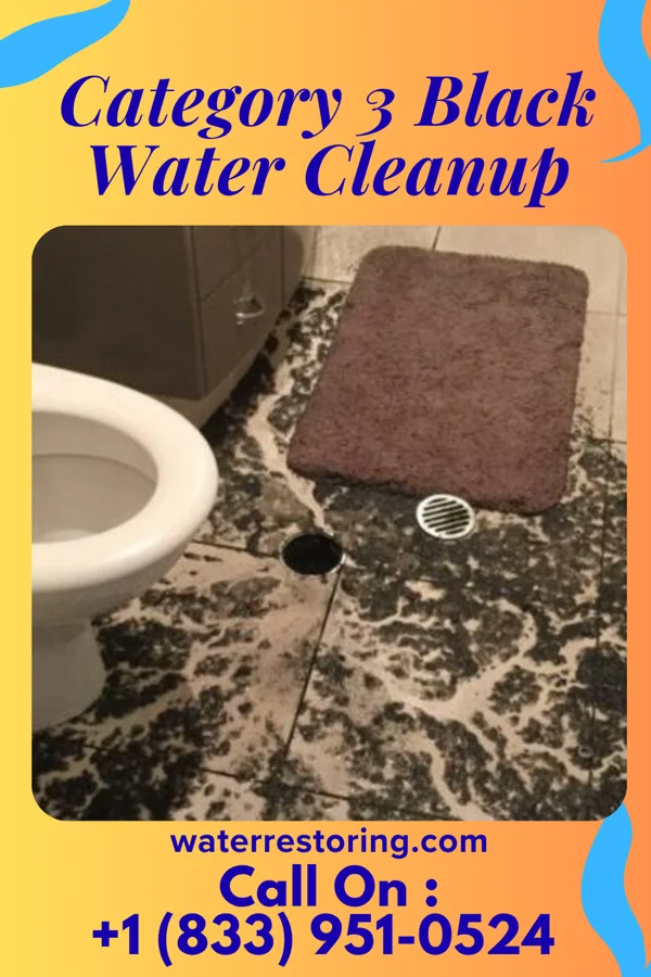 Category 3 Black Water Cleanup in Langley, WA