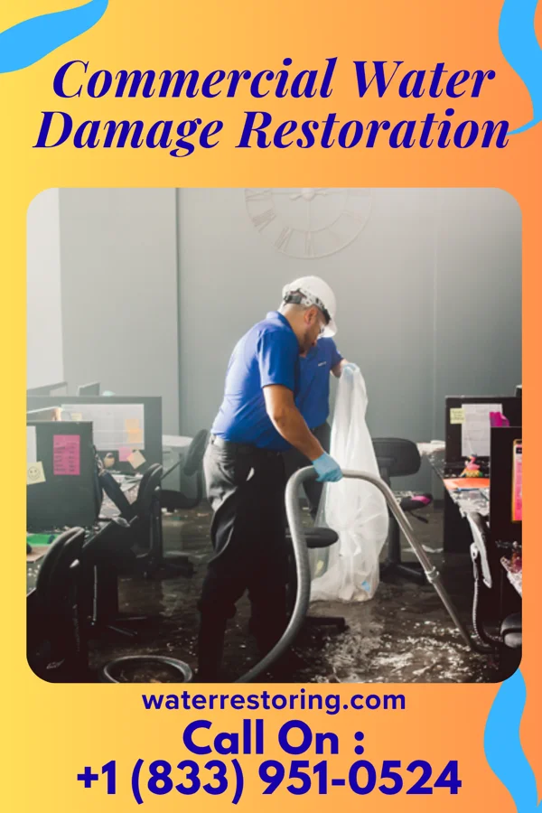 Commercial Water Damage Restoration in Langley, WA