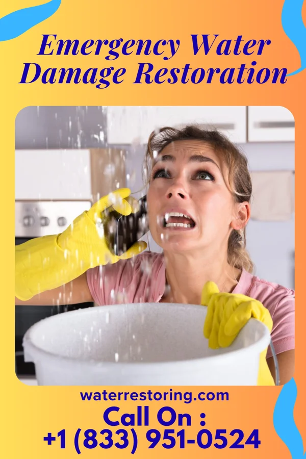 Emergency Water Damage Restoration in Langley, WA