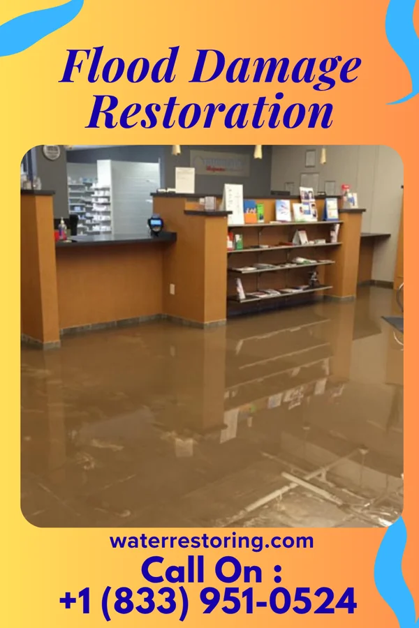 Flood Damage Restoration in Langley, WA