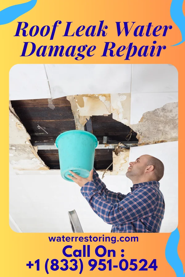 Roof Leak Water Damage Repair in Langley, WA