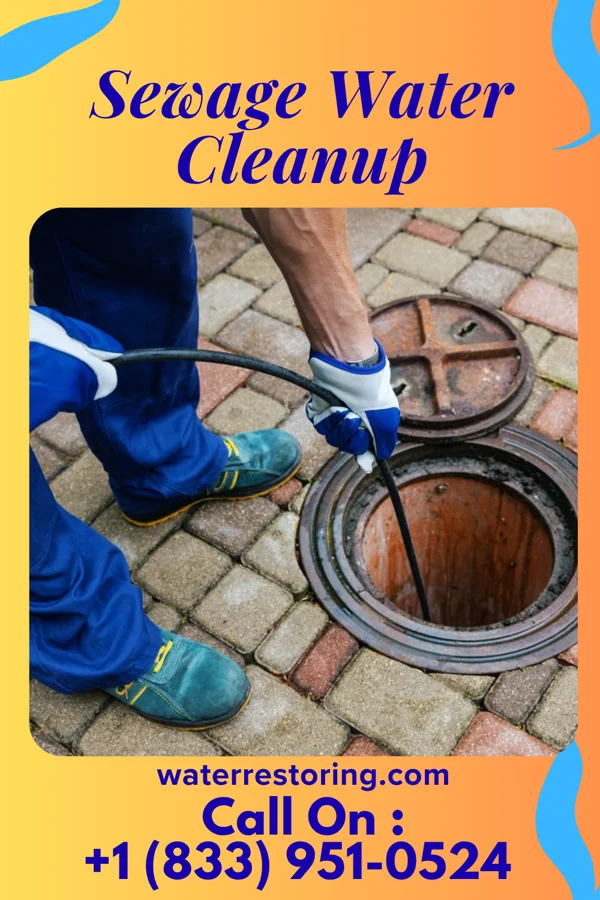 Sewage Water Cleanup in Langley, WA